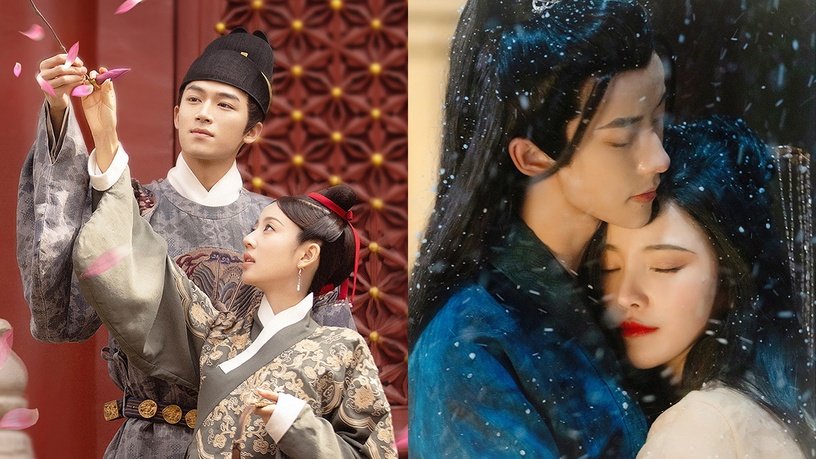 2022��װ�����ְ��Ƽ�TOP10